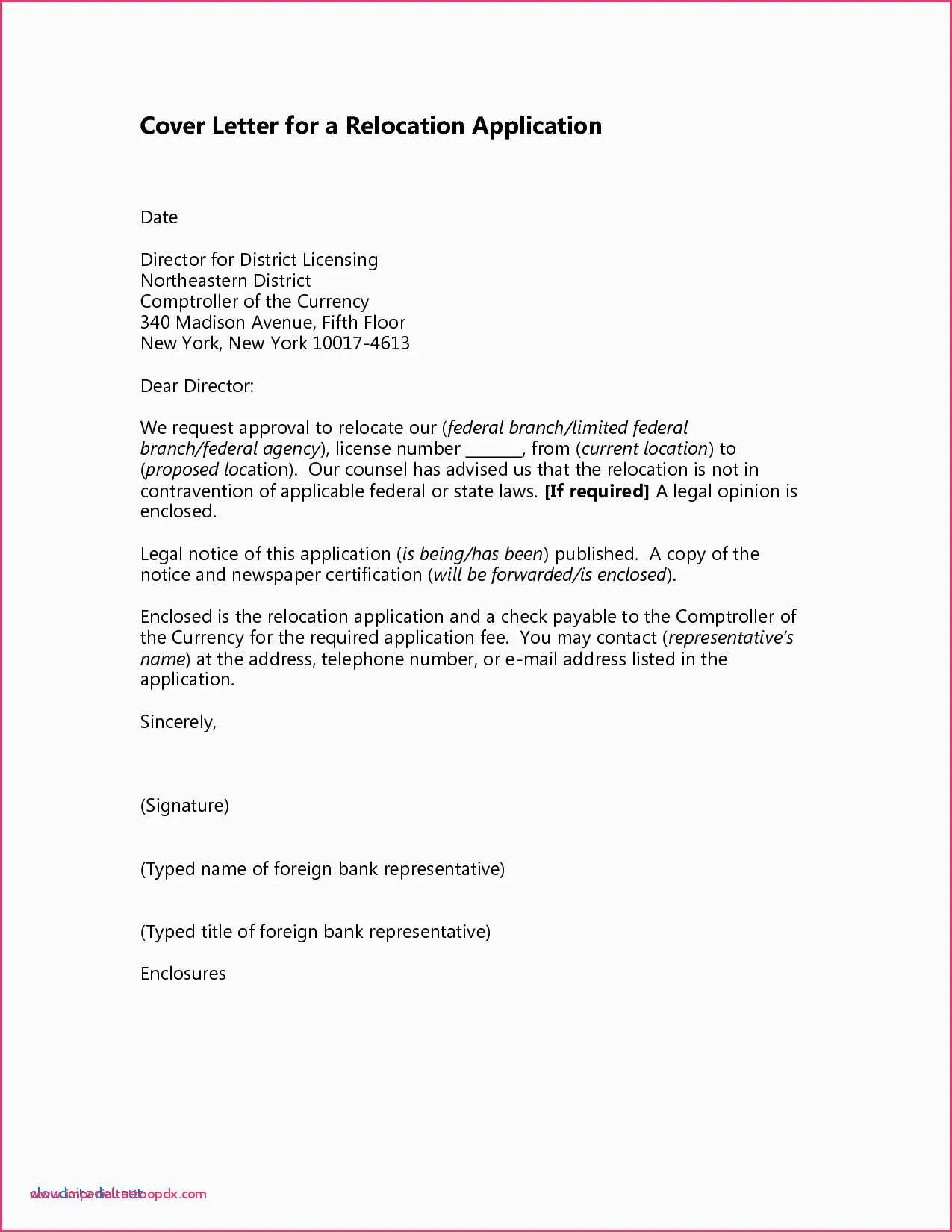 39553 cover letter basics