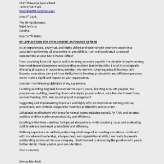 /img/39579-finance-officer-job.webp