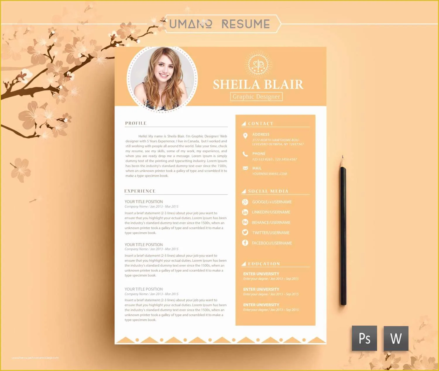39843 creative cover letter