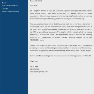 /img/39891-cfo-cover-letter.webp